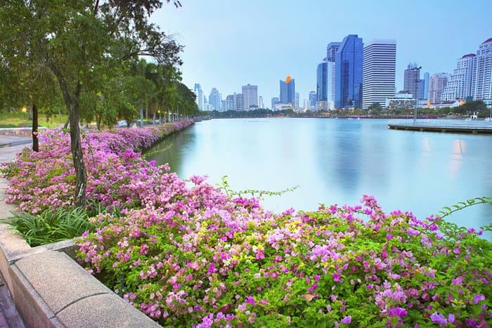 Flowers in Benjakiti Park in Sukhumvit, Bangkok