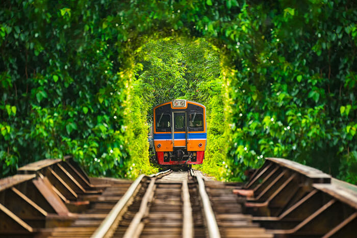 Bangkok to Chiang Mai 2023 Bus Train or Flight