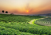 Chiang Mai to Chiang Rai