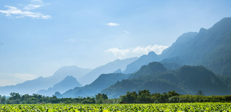 Chiang Mai