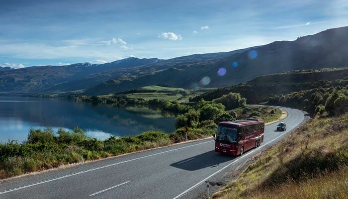 Von Auckland nach Hamilton mit dem Bus