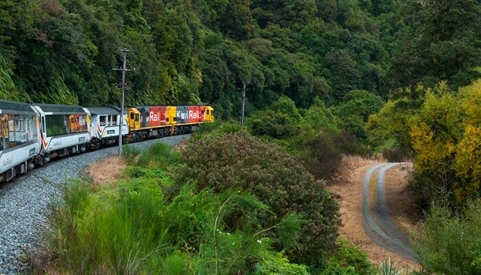 Auckland to Hamilton by Train