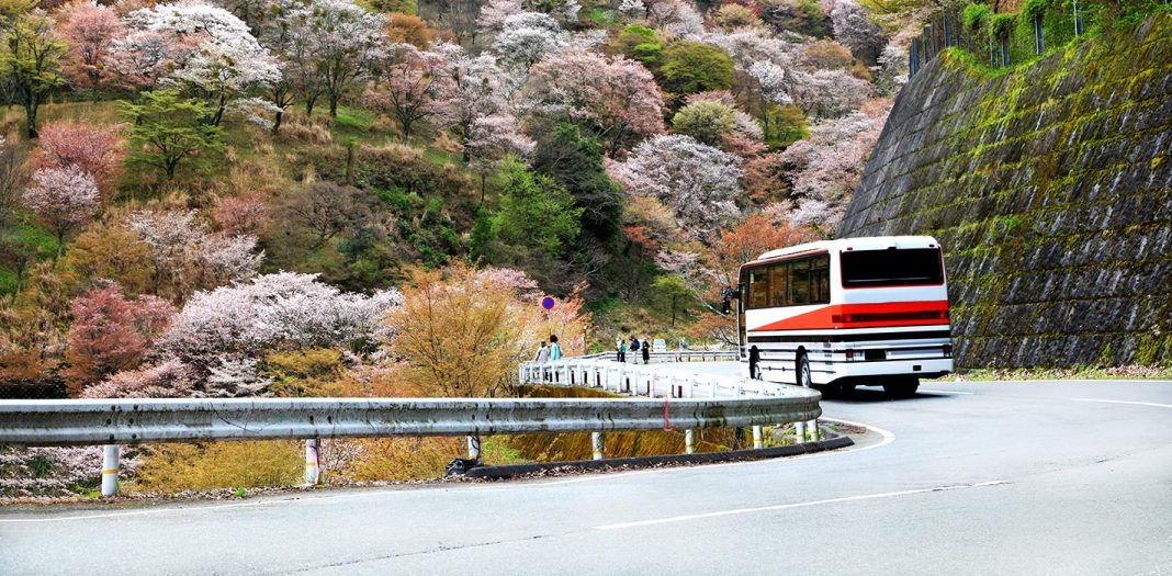 Buses in Japan - Learn everything you need to know! (2023)