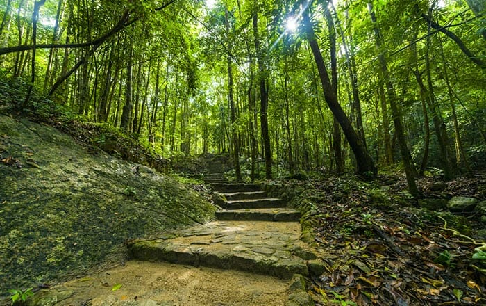 Hiking on Koh Tao