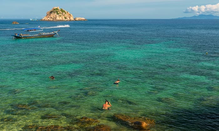 Snorkeling on Koh Tao