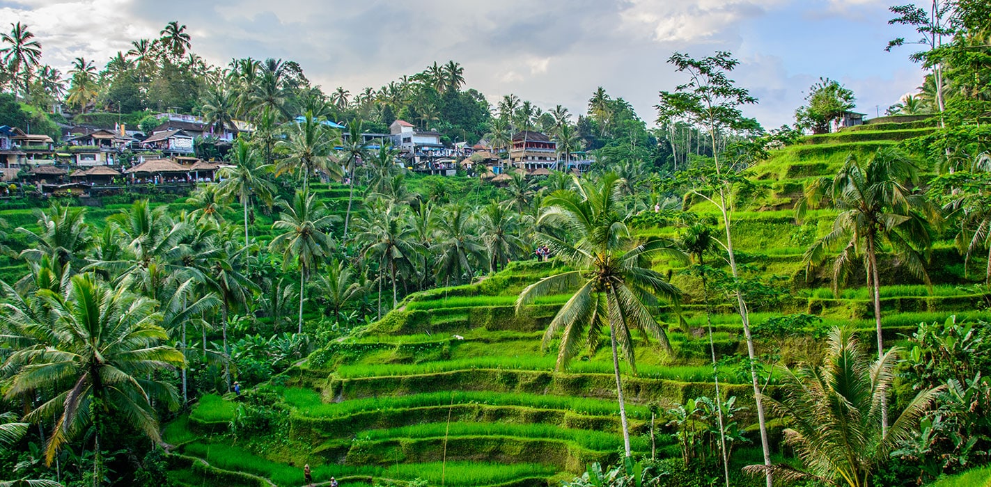 Ubud