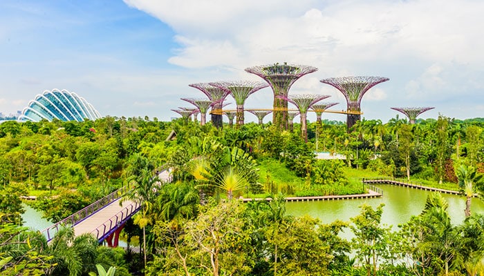 Garden by the Bay