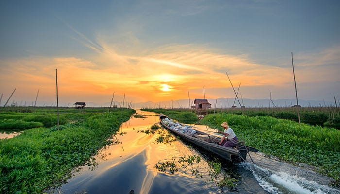 Floating garden in Inle Lake