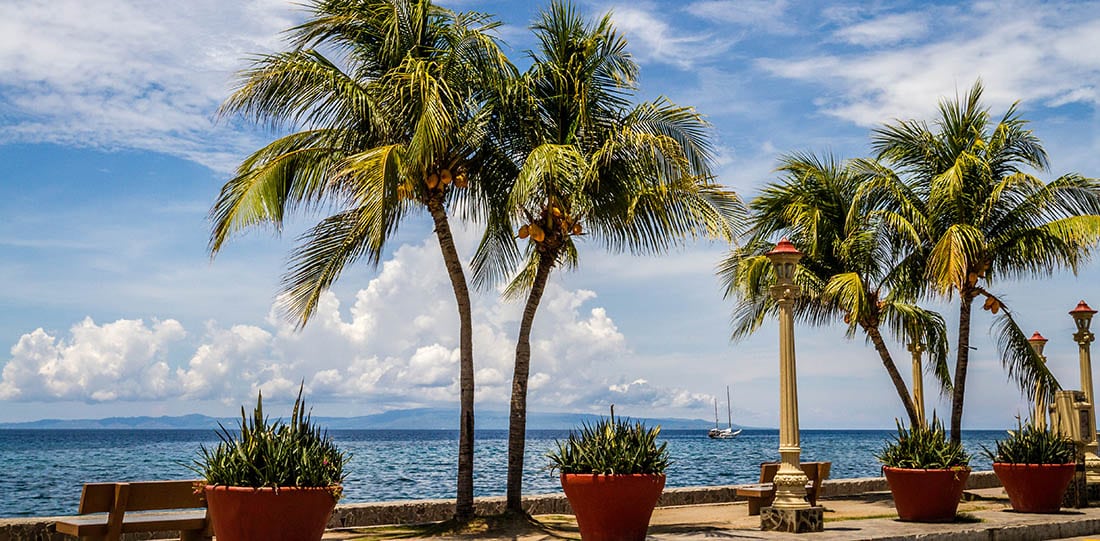 The promenade along Rizal Boulevard with palm trees and sea view, Dumaguete