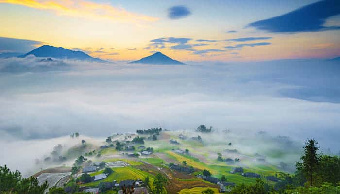 Rice fields on terraced of Hoang Su Phi, Ha Giang, Vietnam. Rice fields prepare the harvest in the cloud at Northwest Vietnam